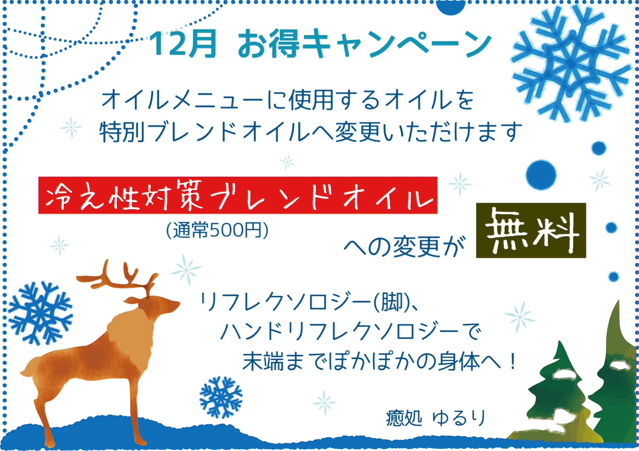 12月のキャンペーン情報