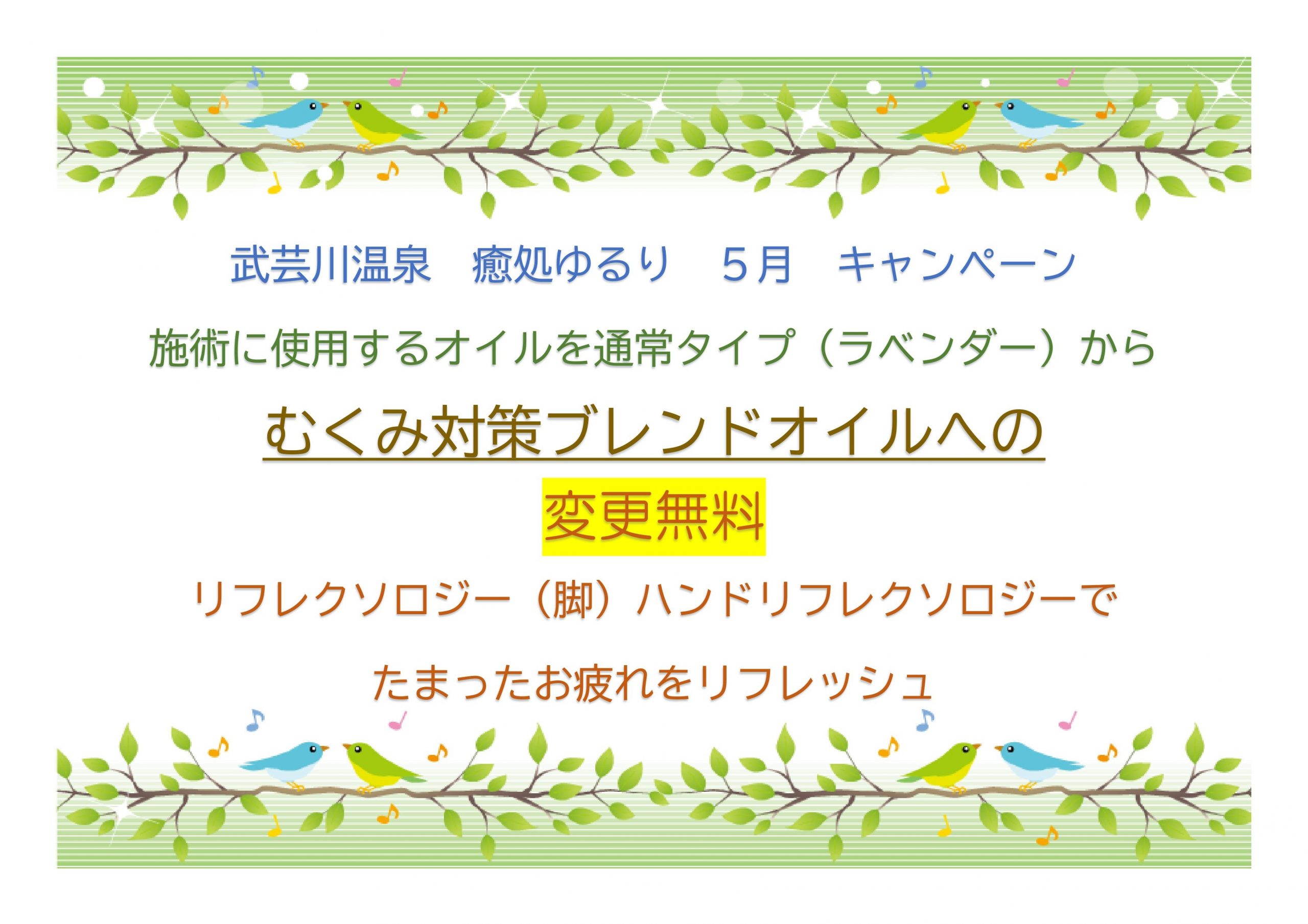 5月のキャンペーン情報
