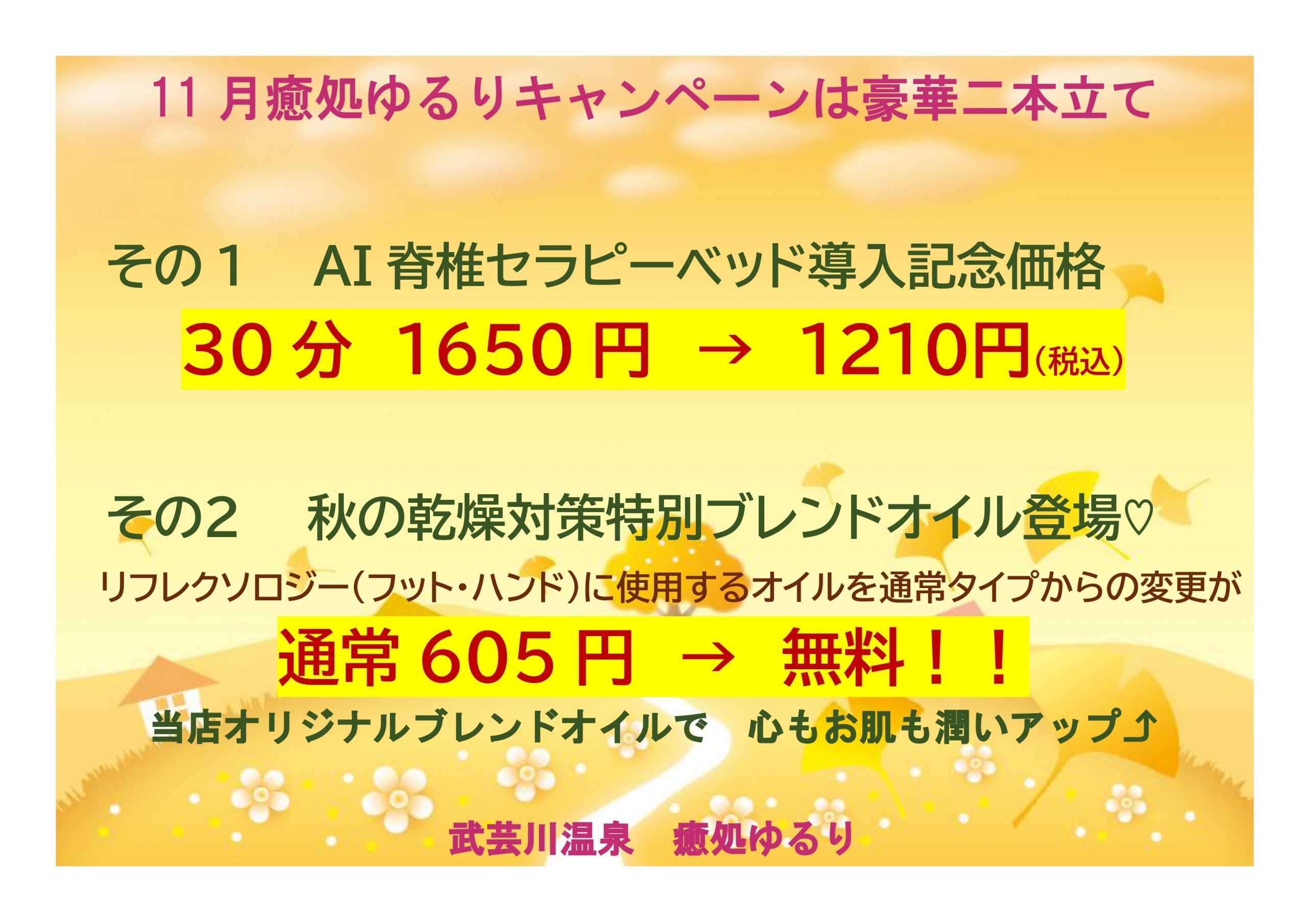 11月のキャンペーン情報