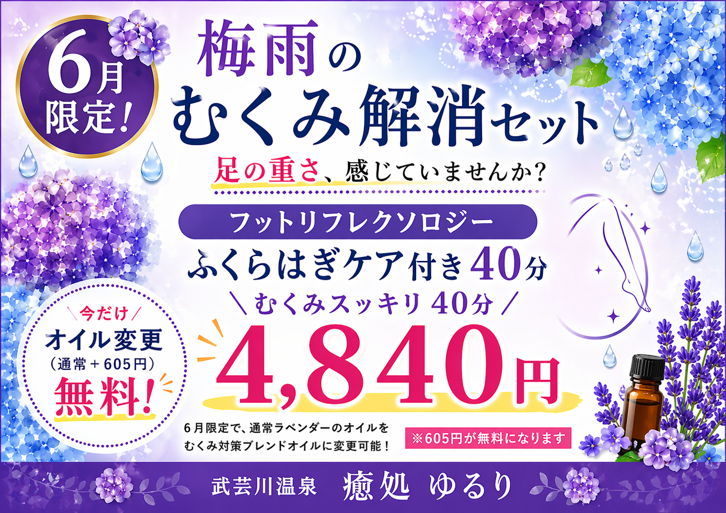 6月のキャンペーン情報